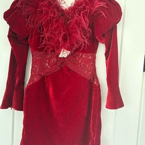 Elegant Red Velvet Dress with Feather Trim